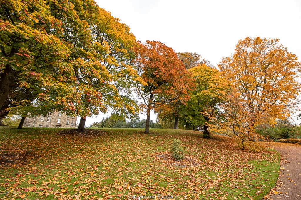 Dove vedere il fogliage a Edimburgo: Royal Botanic Gardens