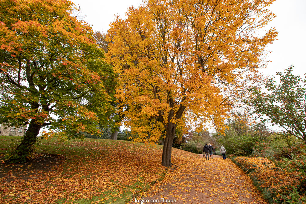 Dove vedere il fogliage a Edimburgo: Royal Botanic Gardens