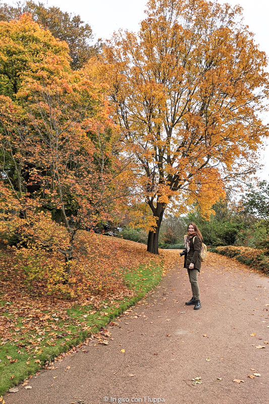 Dove vedere il foliage a Edimburgo