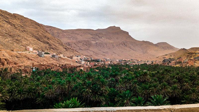 Vista dal finestrino dell'auto in Marocco: canyon e piantagioni di palme da dattero