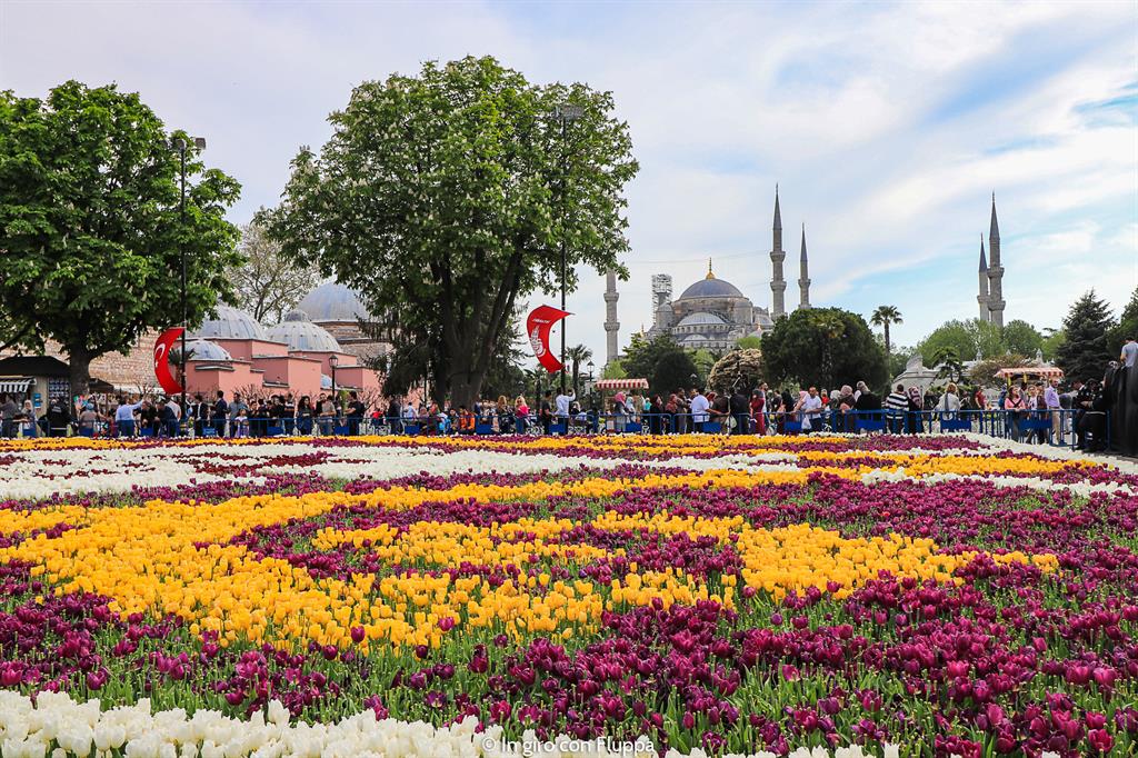 Copertina del post "Informazioni utili per visitare Istanbul"