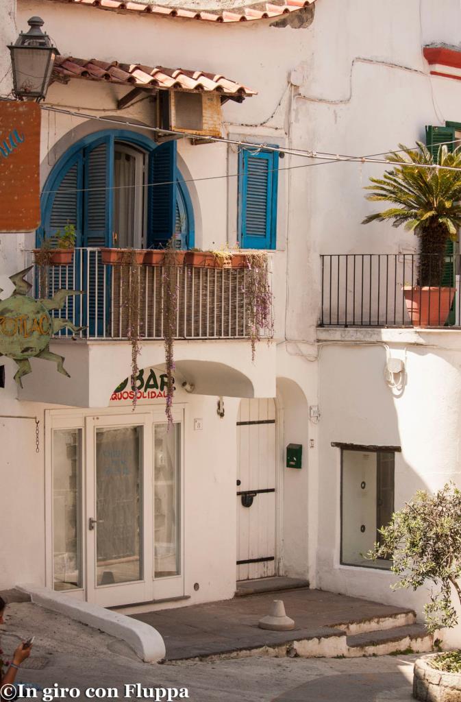 Street - Forio d'Ischia