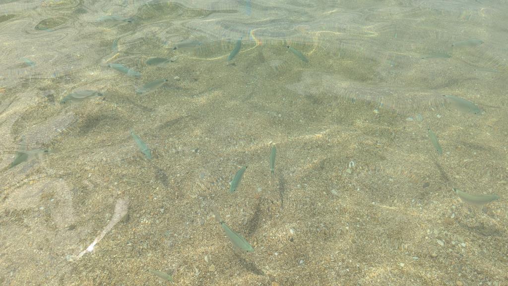 Spiaggia di Zuccale