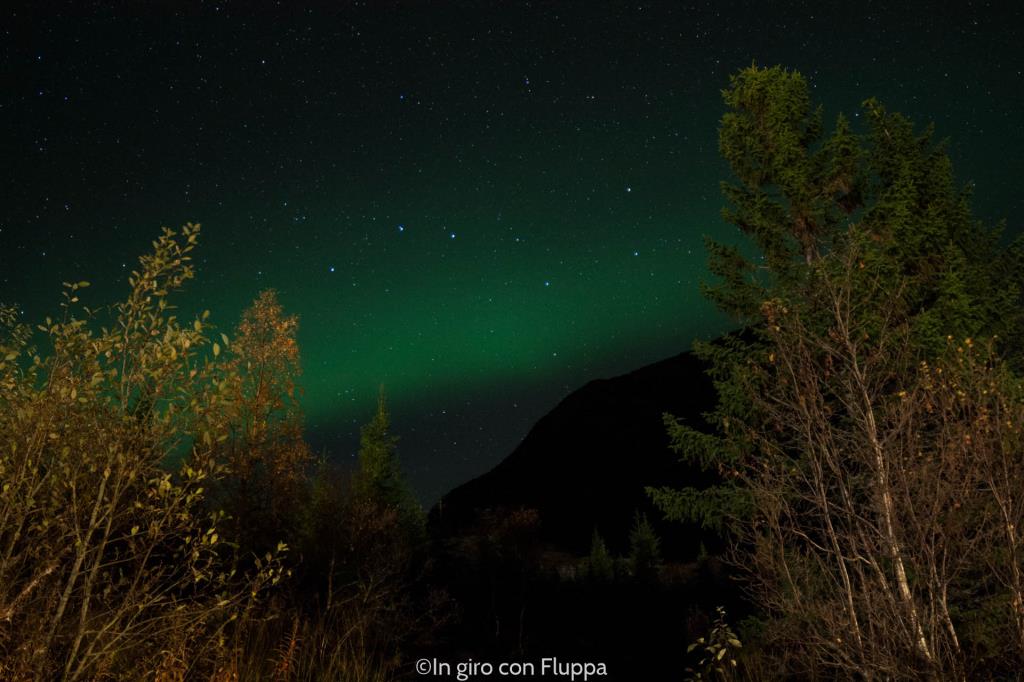 Lofoten Islands - Vaterfjord, Northern Lights