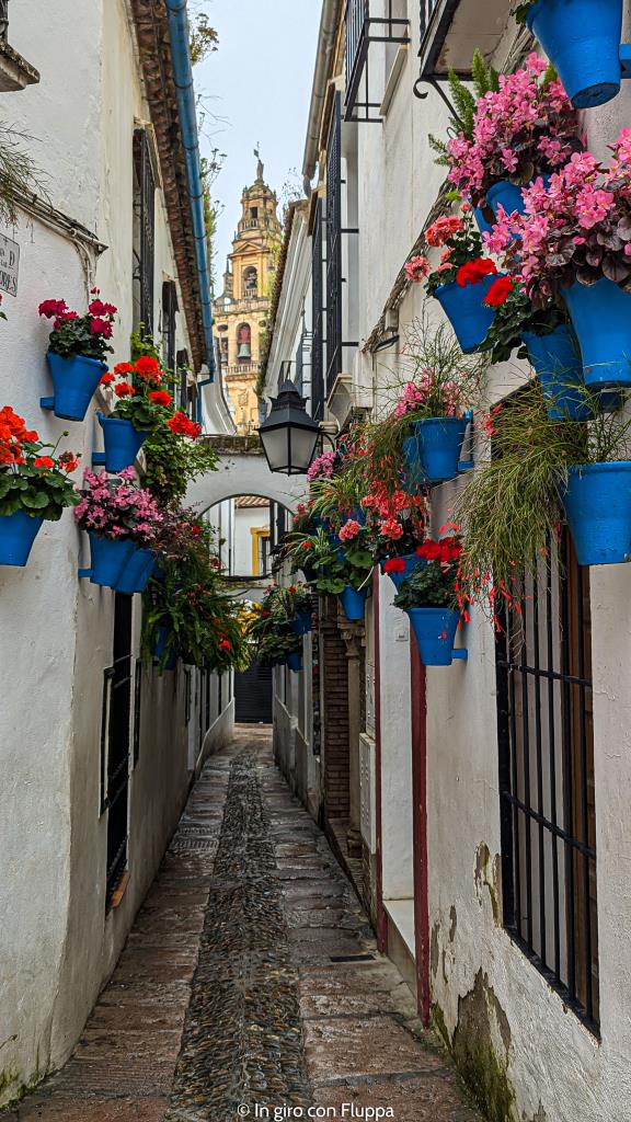 Vicoletto fiorito della Juderia di Cordoba