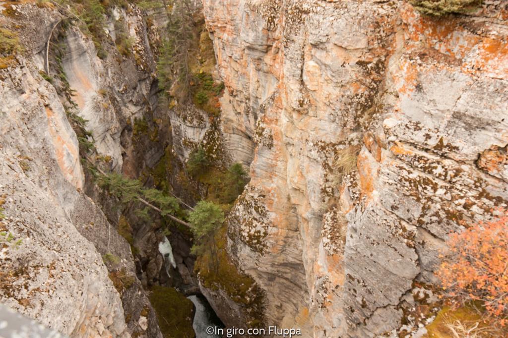 Cosa fare e vedere a Jasper: Maligne Canyon