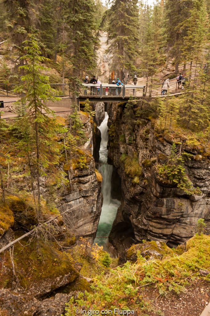 Cosa fare e vedere a Jasper: Maligne Canyon