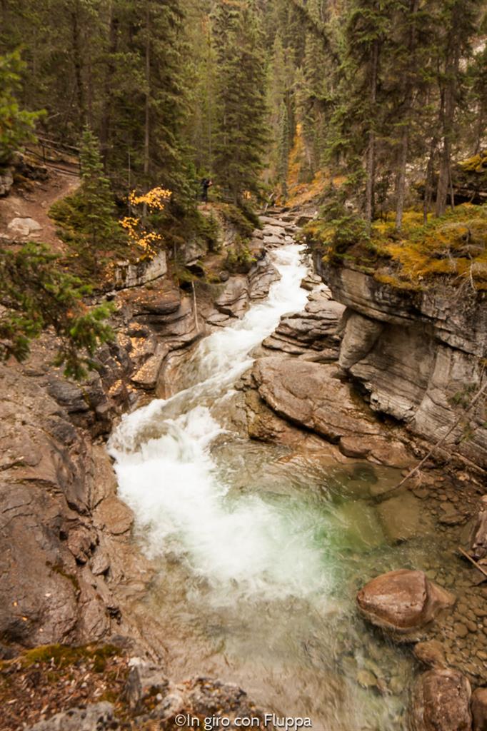 Cosa fare e vedere a Jasper: Maligne Canyon
