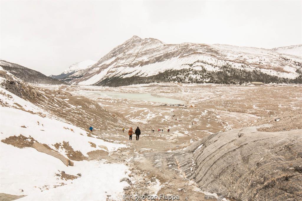 Cosa fare e vedere a Jasper: Athabasca Glacier