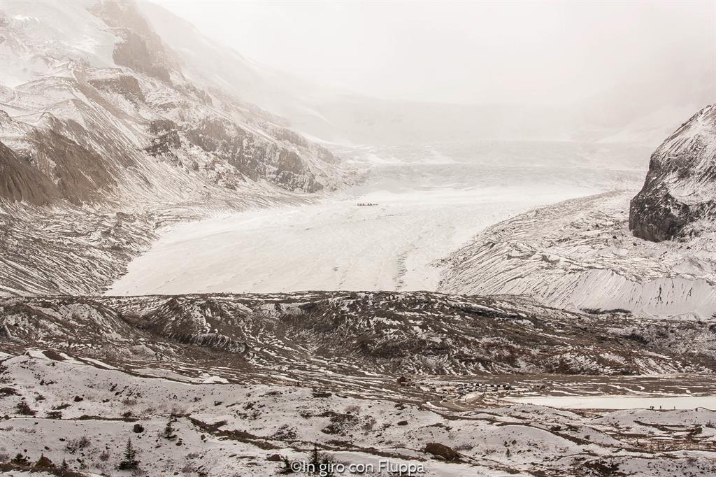 Cosa fare e vedere a Jasper: Athabasca Glacier