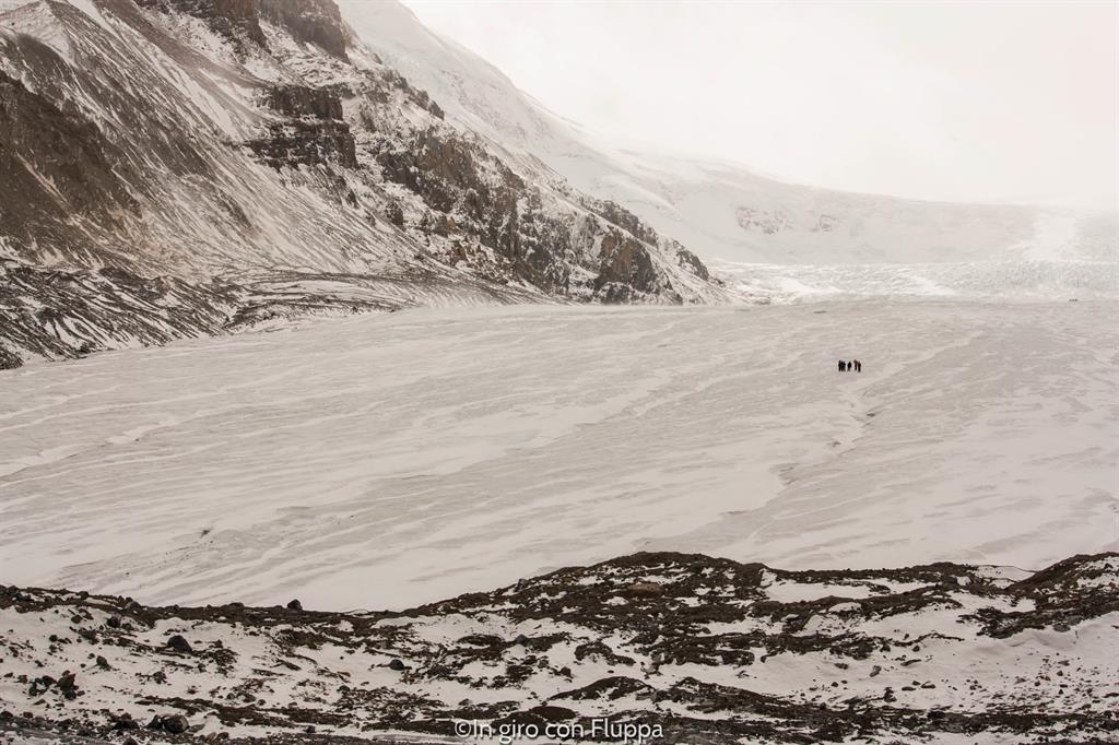Cosa fare e vedere a Jasper: Athabasca Glacier