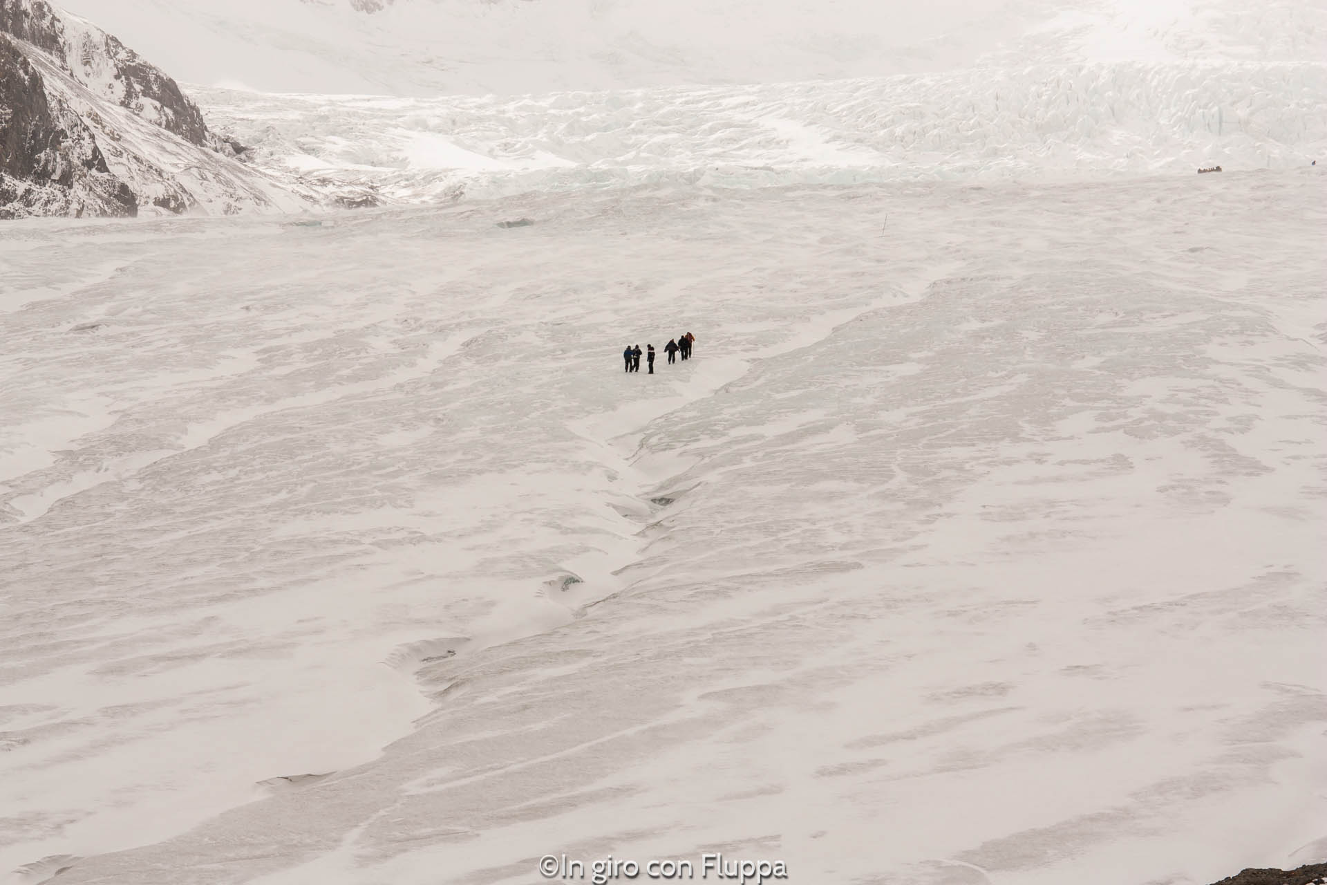 Cosa fare e vedere a Jasper: Athabasca Glacier