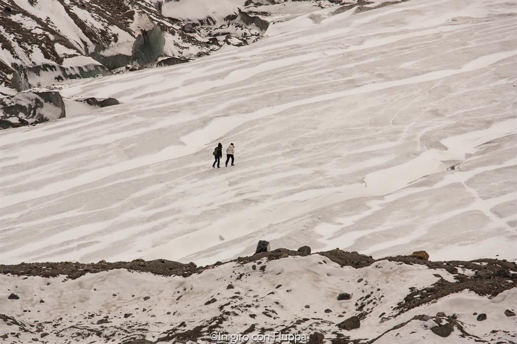 Cosa fare e vedere a Jasper: Athabasca Glacier