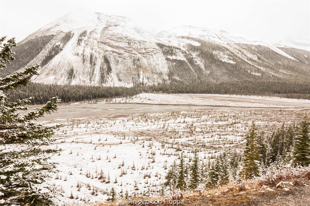 Cosa fare e vedere a Jasper: The Icefields Parkway