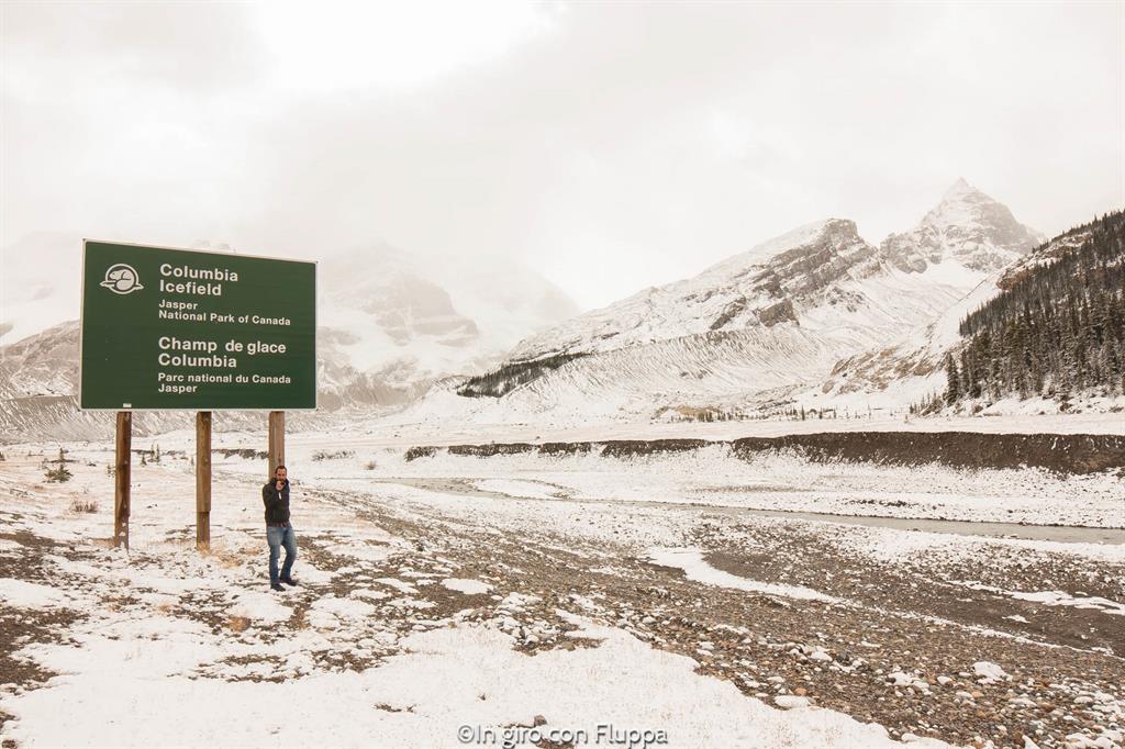 Cosa fare e vedere a Jasper: The Icefields Parkway