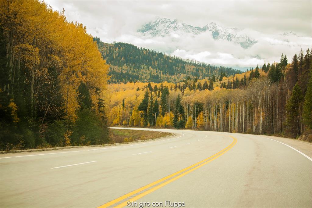 Cosa fare e vedere a Jasper: The Icefields Parkway