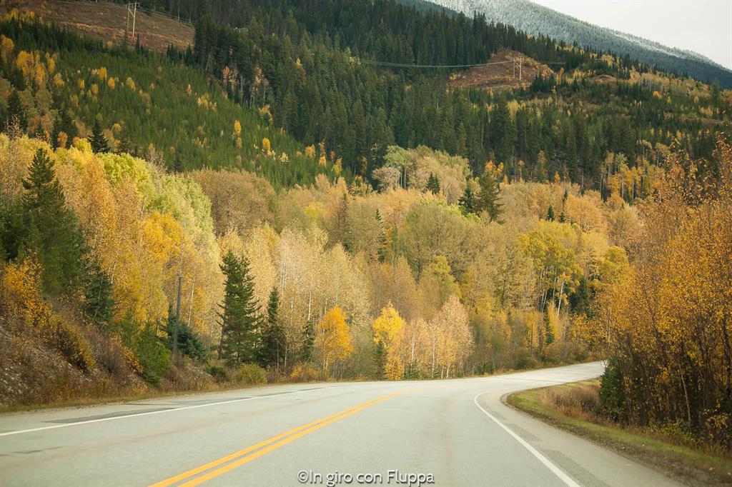 Cosa fare e vedere a Jasper: The Icefields Parkway