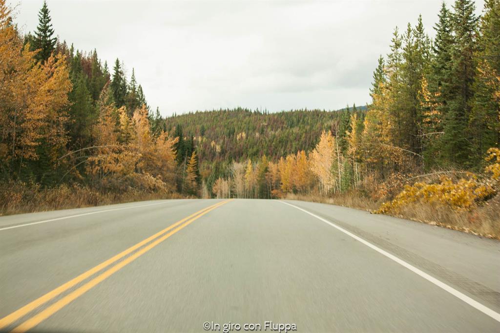 Cosa fare e vedere a Jasper: The Icefields Parkway