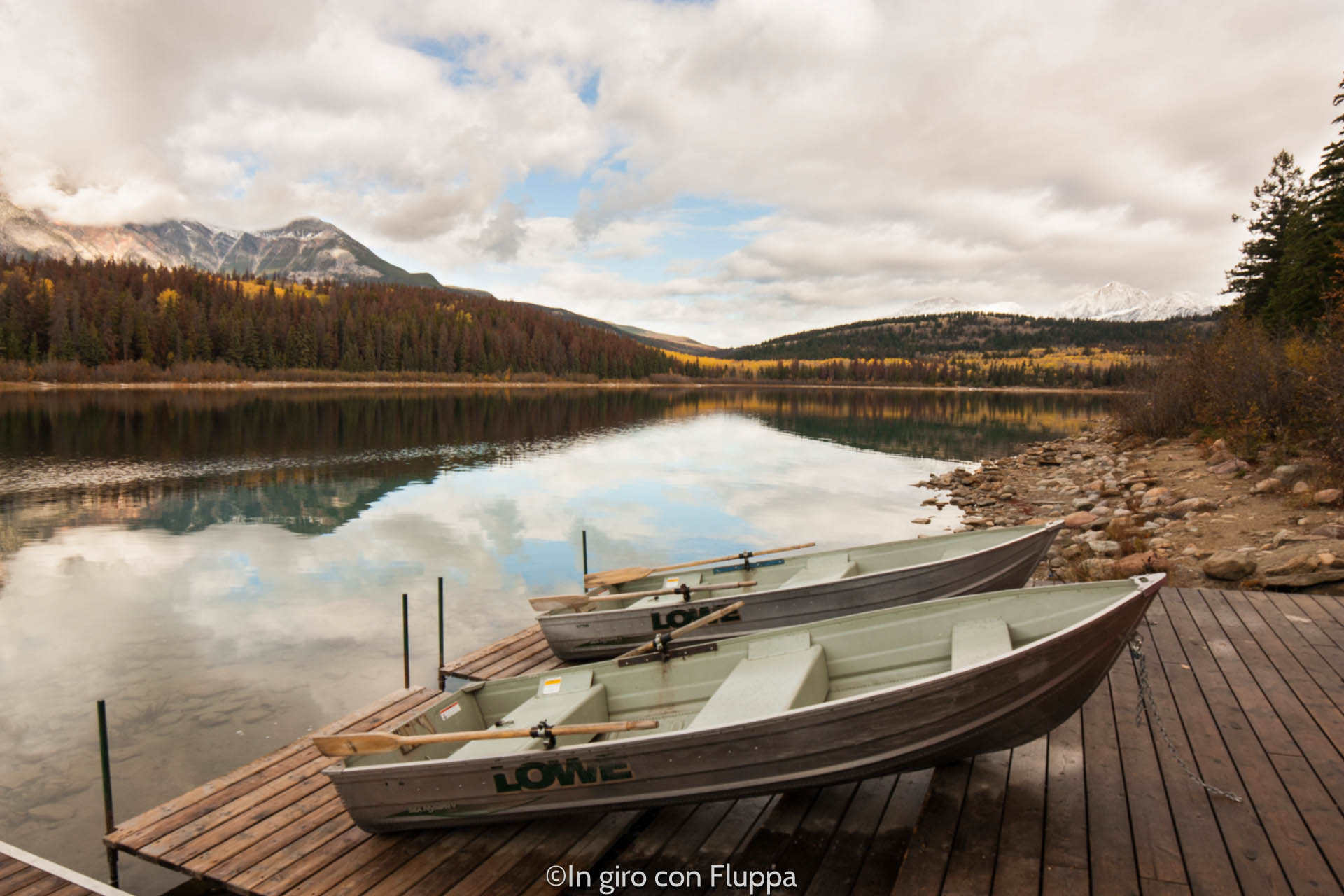 Cosa fare e vedere a Jasper: Patricia Lake