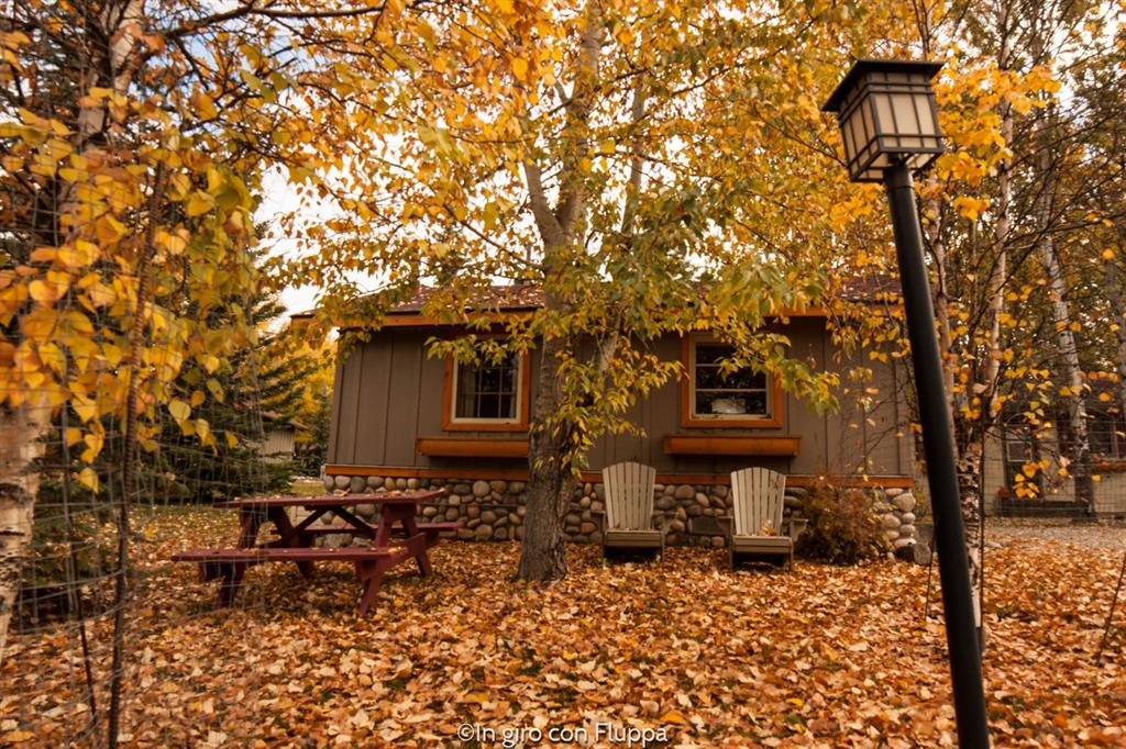 Cosa fare e vedere a Jasper: Patricia Lake Bungalows