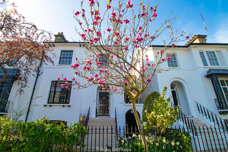Magnolia a Launceston Place, Kensington