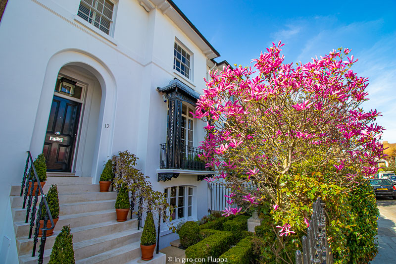 Magnolia a Launceston Place, Kensington