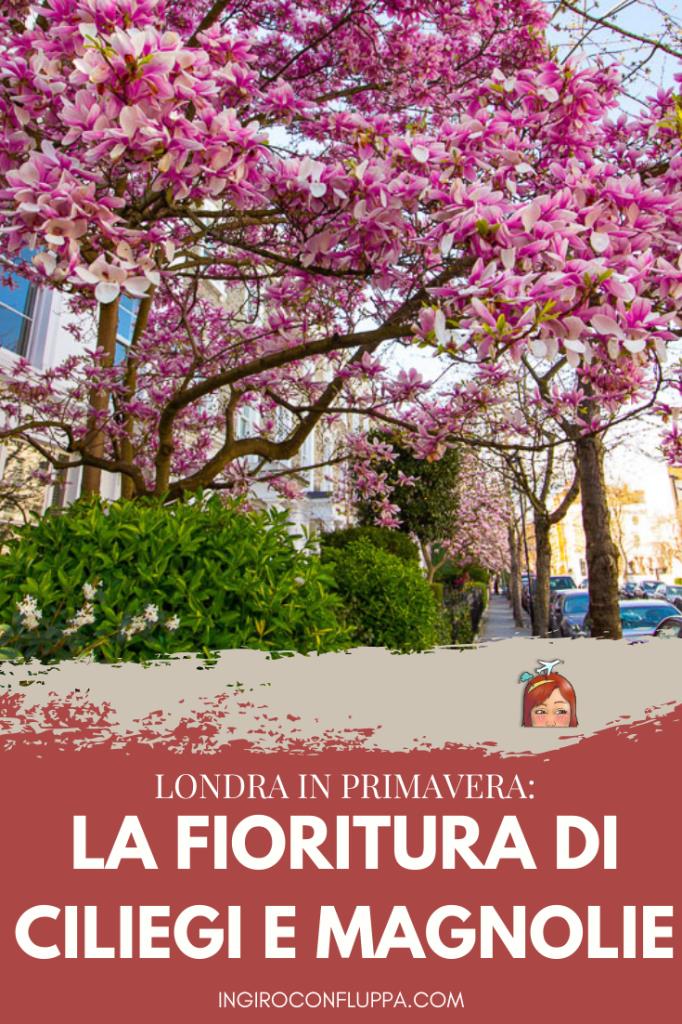 Londra in primavera: la fioritura di ciliegi e magnolie