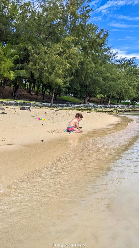 Bain Boeuf beach, Mauritius