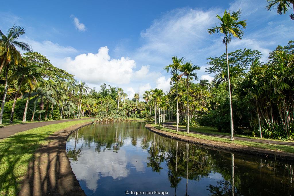 Pamplemousses Botanical Gardens, Mauritius