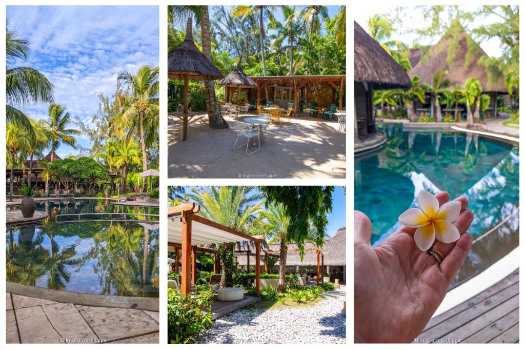 Collage del Coin de Mire Attitude Mauritius