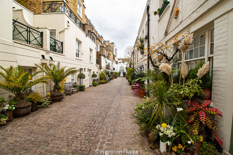 Stanhope mews South