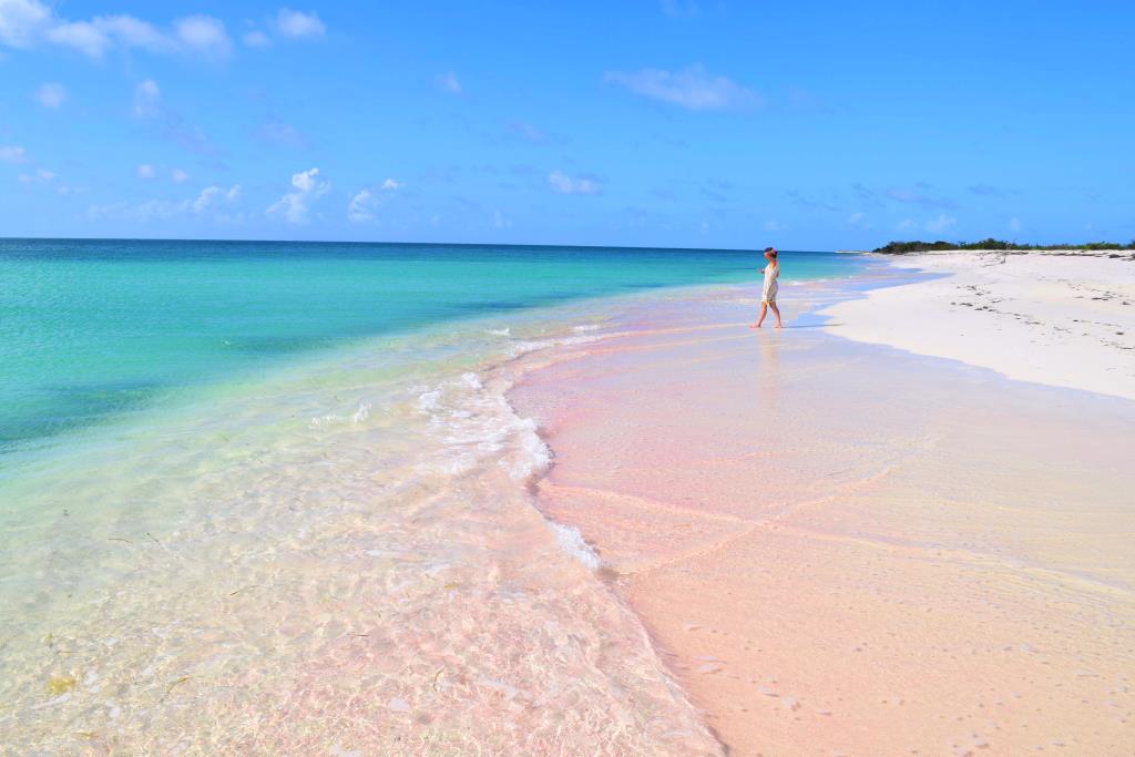 Spiaggia rosa di Barbuda © A&B Tourism Authority