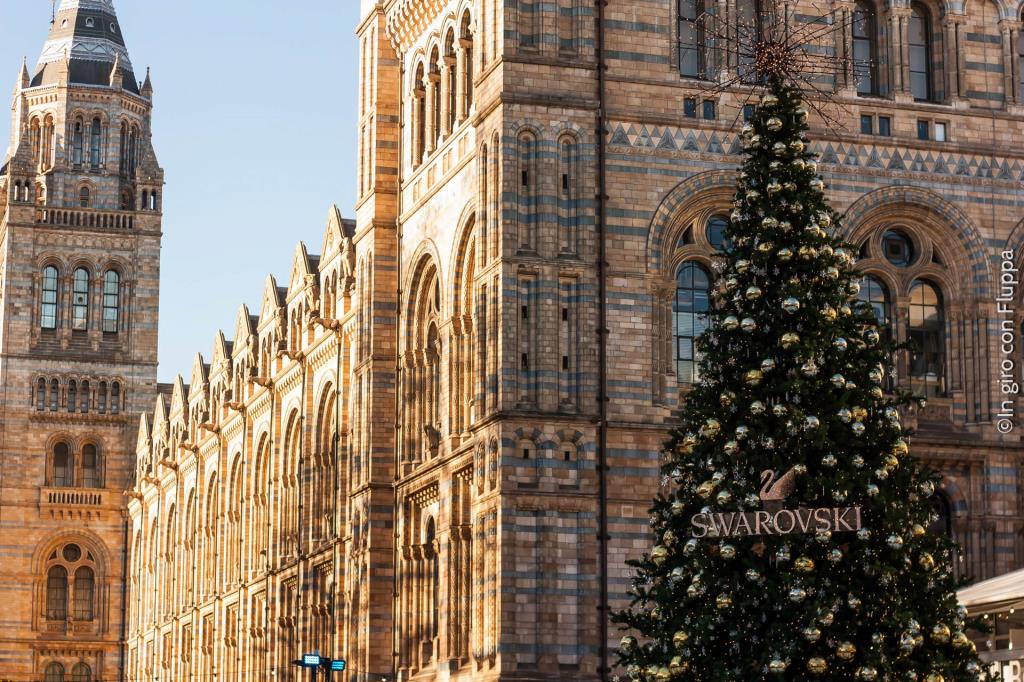Natale a Londra - Natural History Museum Ice Rink