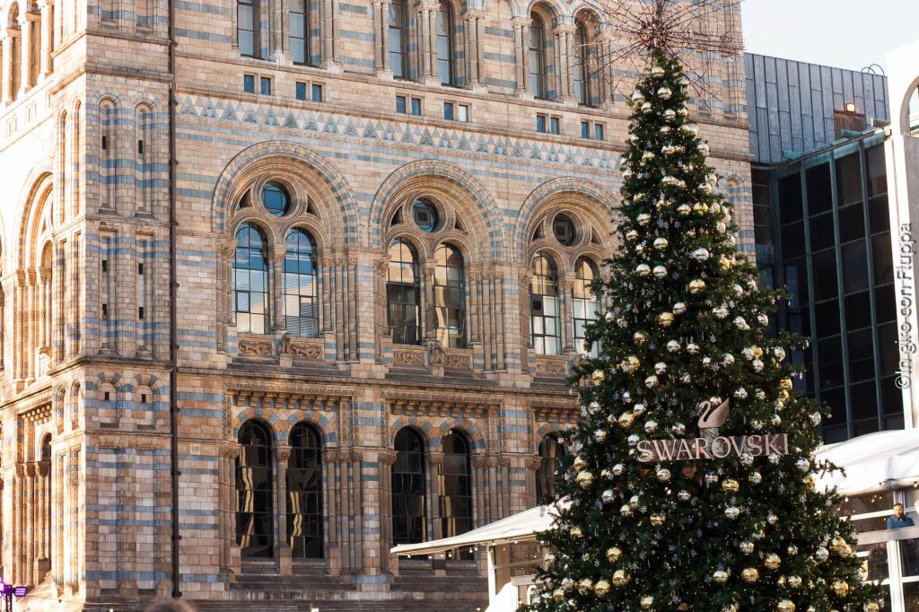 Natale a Londra - Natural History Museum Ice Rink