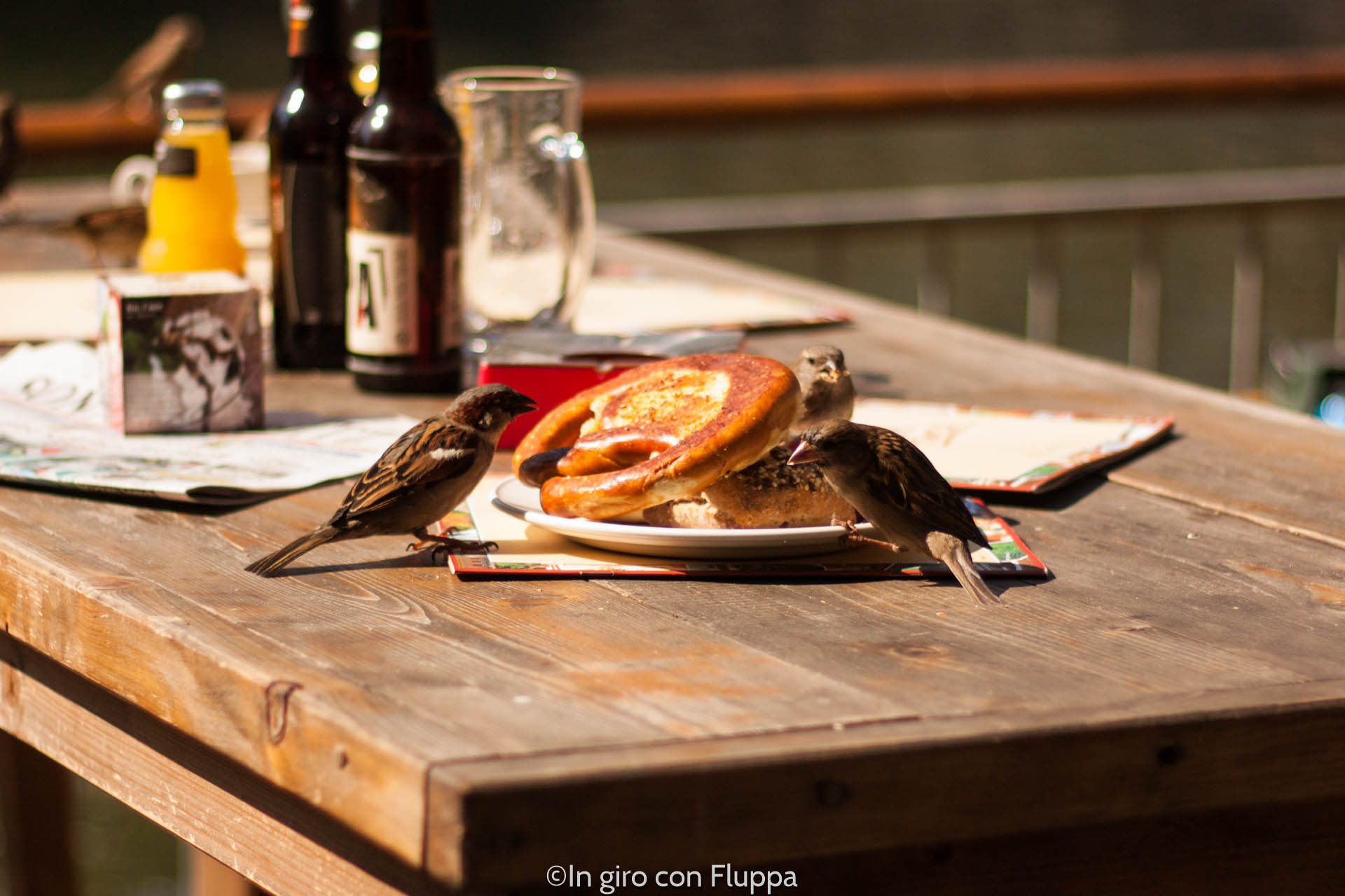 Dove fare colazione a Norimberga: Cafe e Bar Celona Finca