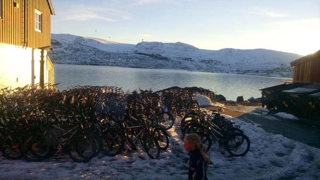 Flåmsbana