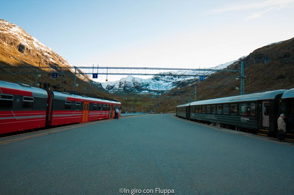 Myrdal station