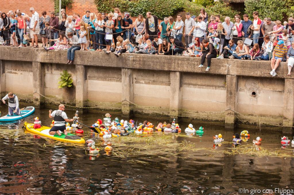 Norwich - duck race
