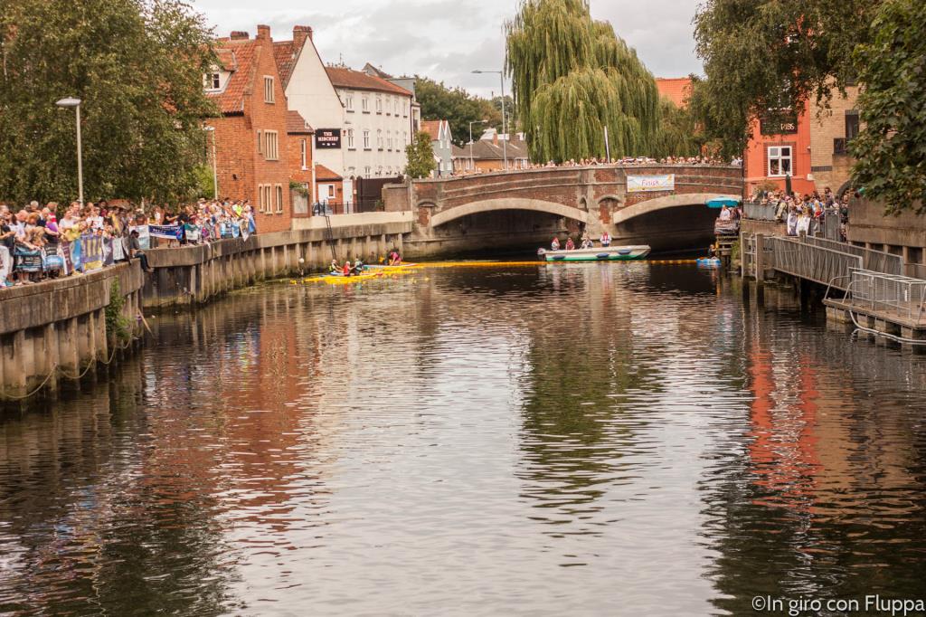 Norwich - duck race