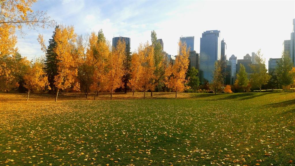 Calgary con il sole...