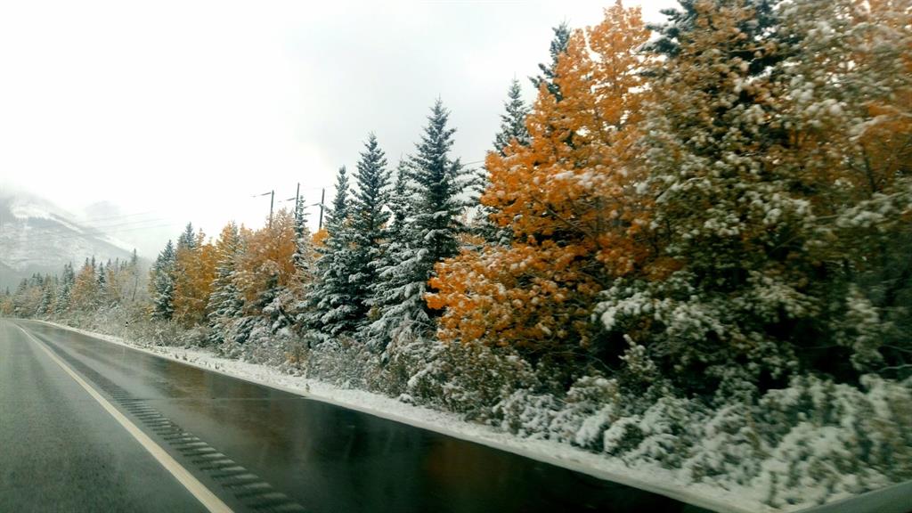 e il giorno dopo, neve!
