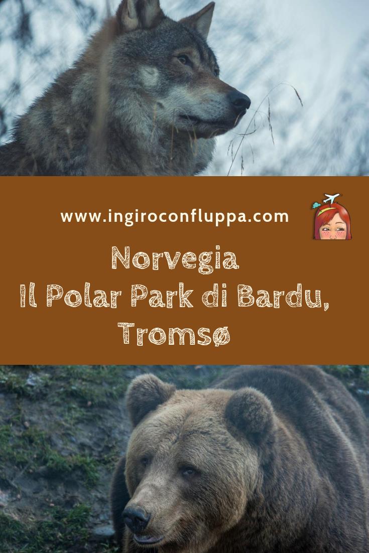 Il Polar Park di Bardu, Tromsø. Salva il post su Pinterest!