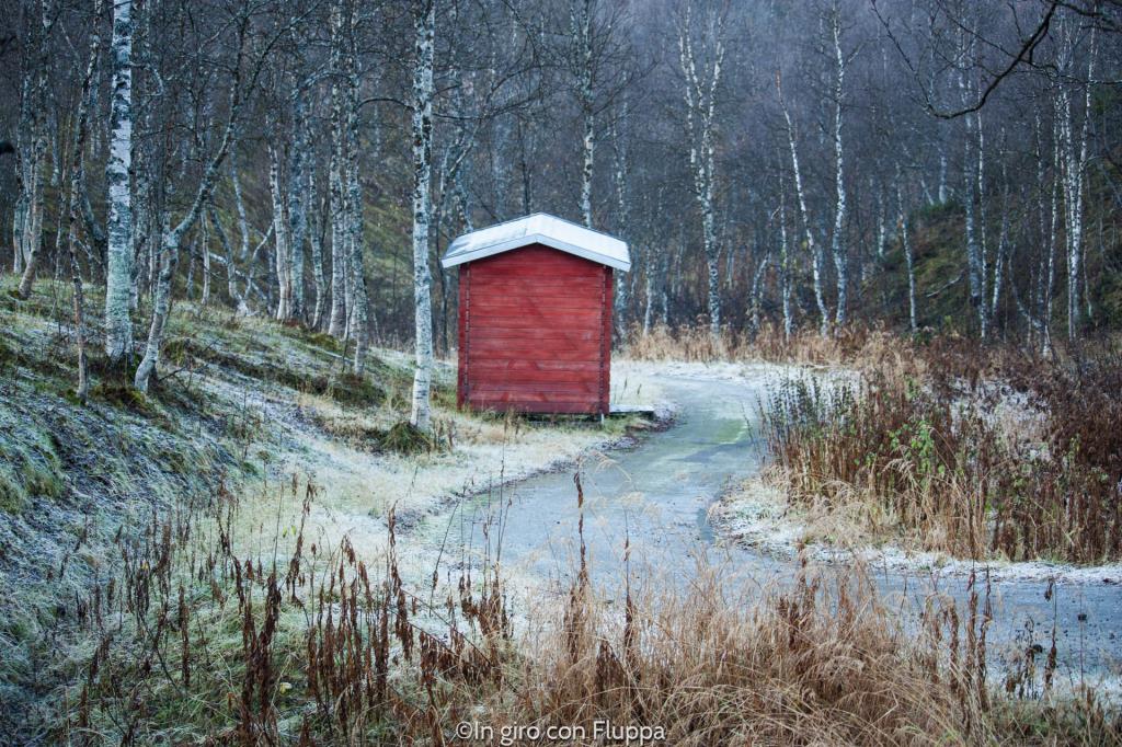 Il Polar Park di Bardu, Tromsø