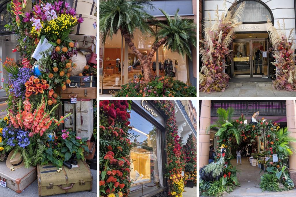 Chelsea in bloom