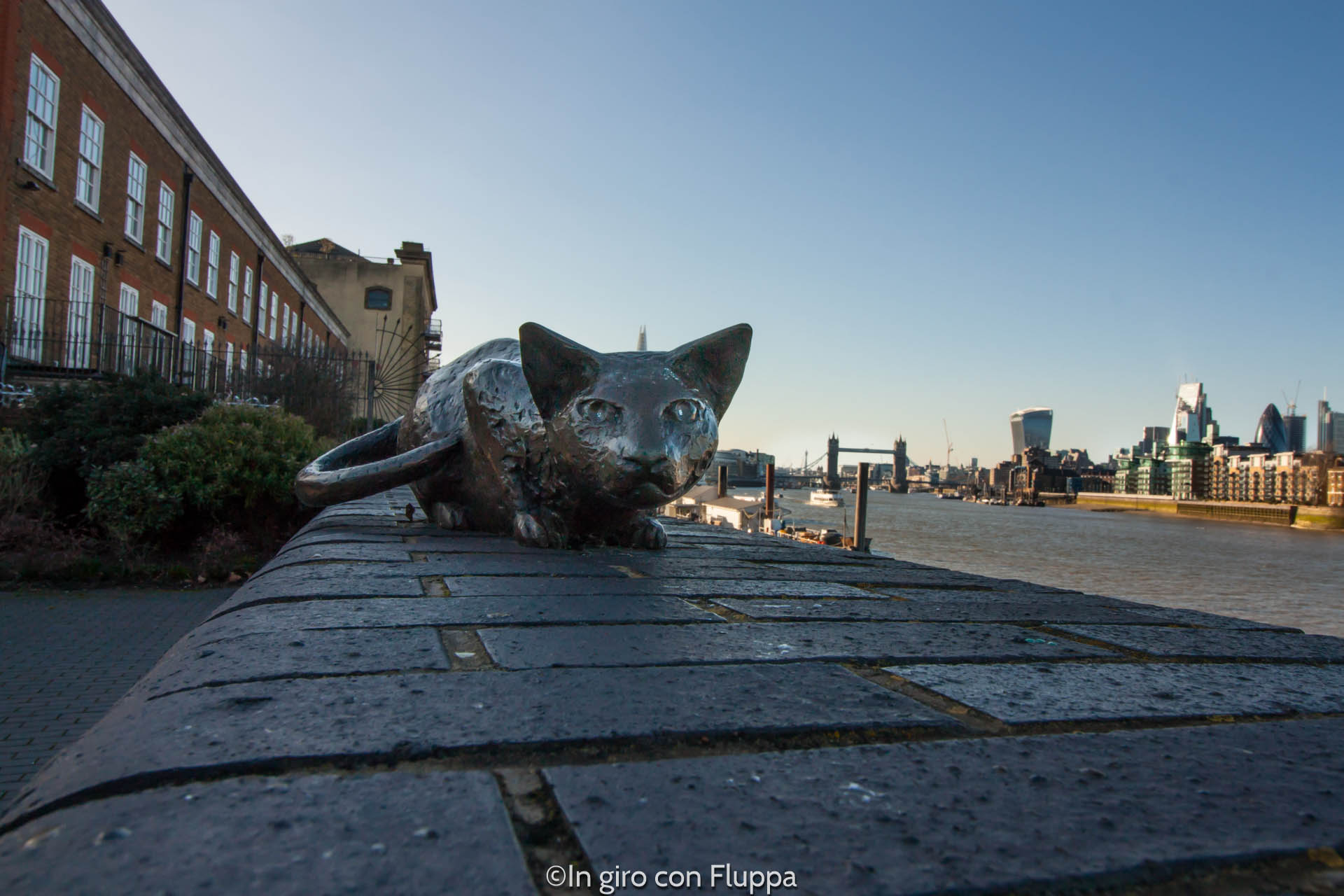 Rotherhithe - il gatto della famiglia Salter
