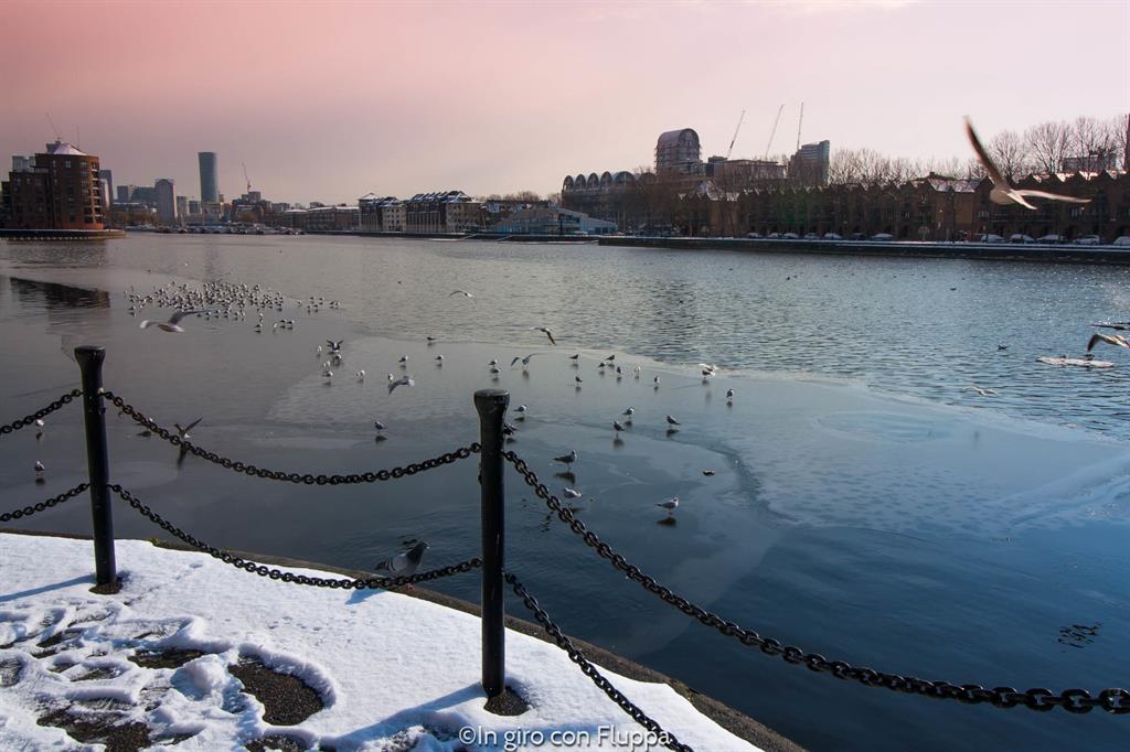 Greenland Dock