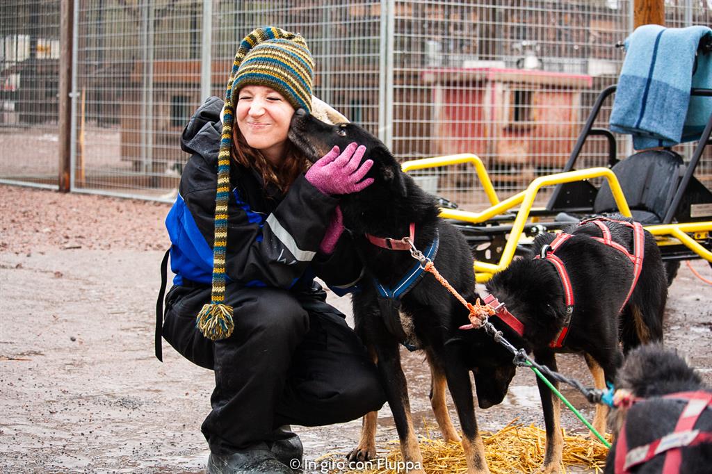 Attività da fare a Rovaniemi in autunno: escursione in quad con gli husky