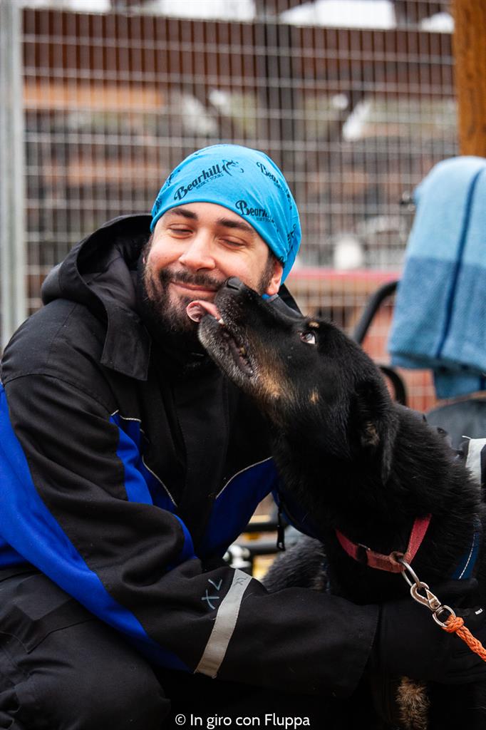 Attività da fare a Rovaniemi in autunno: escursione in quad con gli husky
