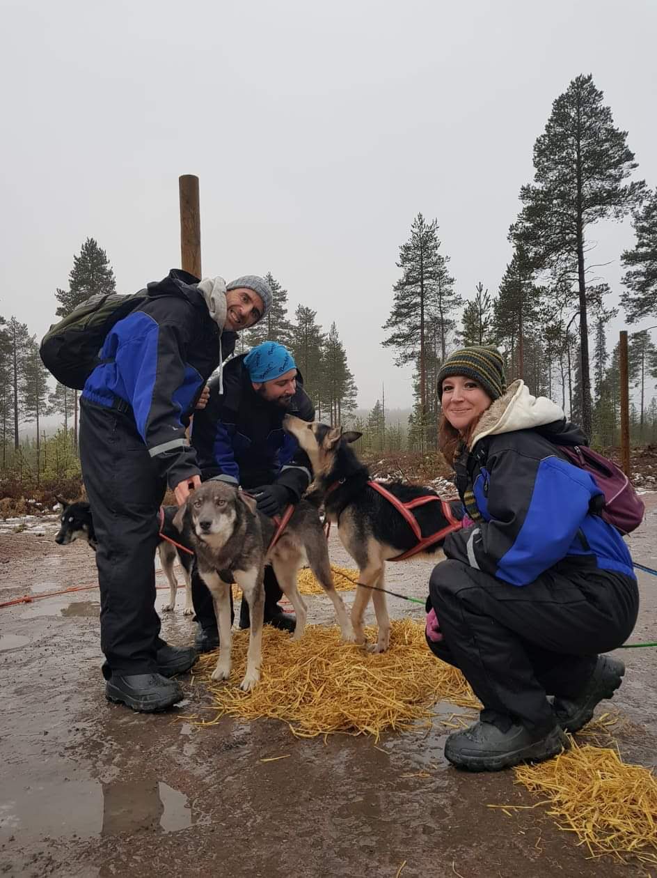 Attività da fare a Rovaniemi in autunno: escursione in quad con gli husky
