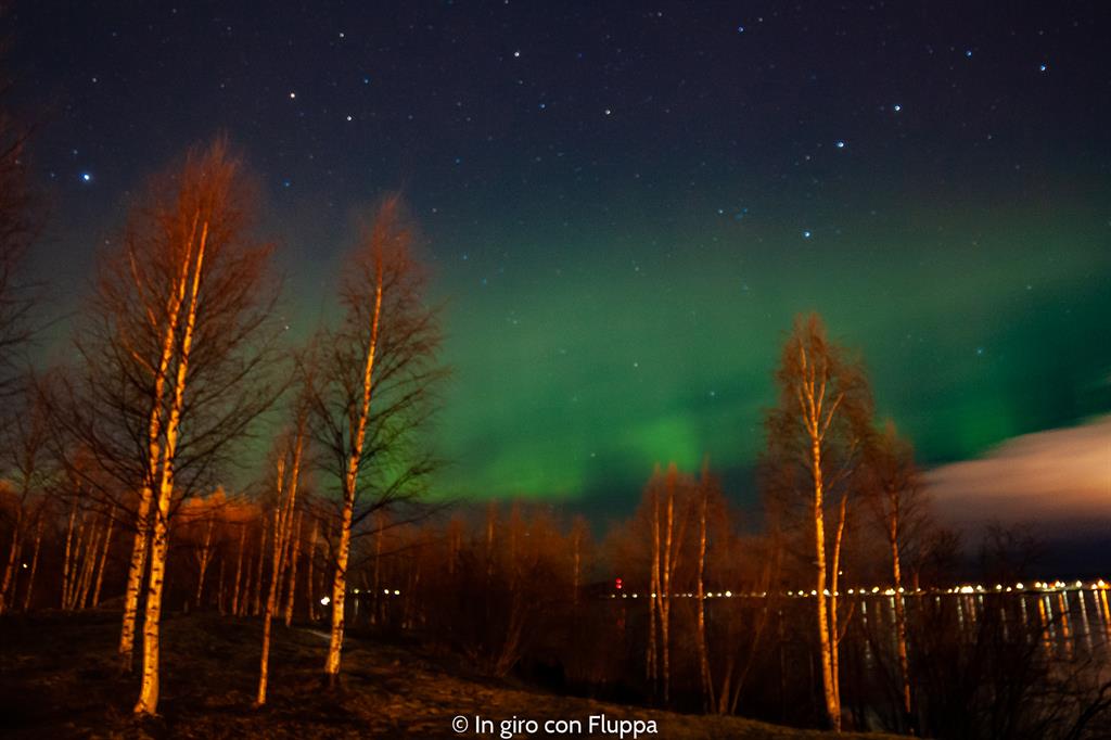 Cosa vedere a Rovaniemi e dintorni: l'Aurora Boreale